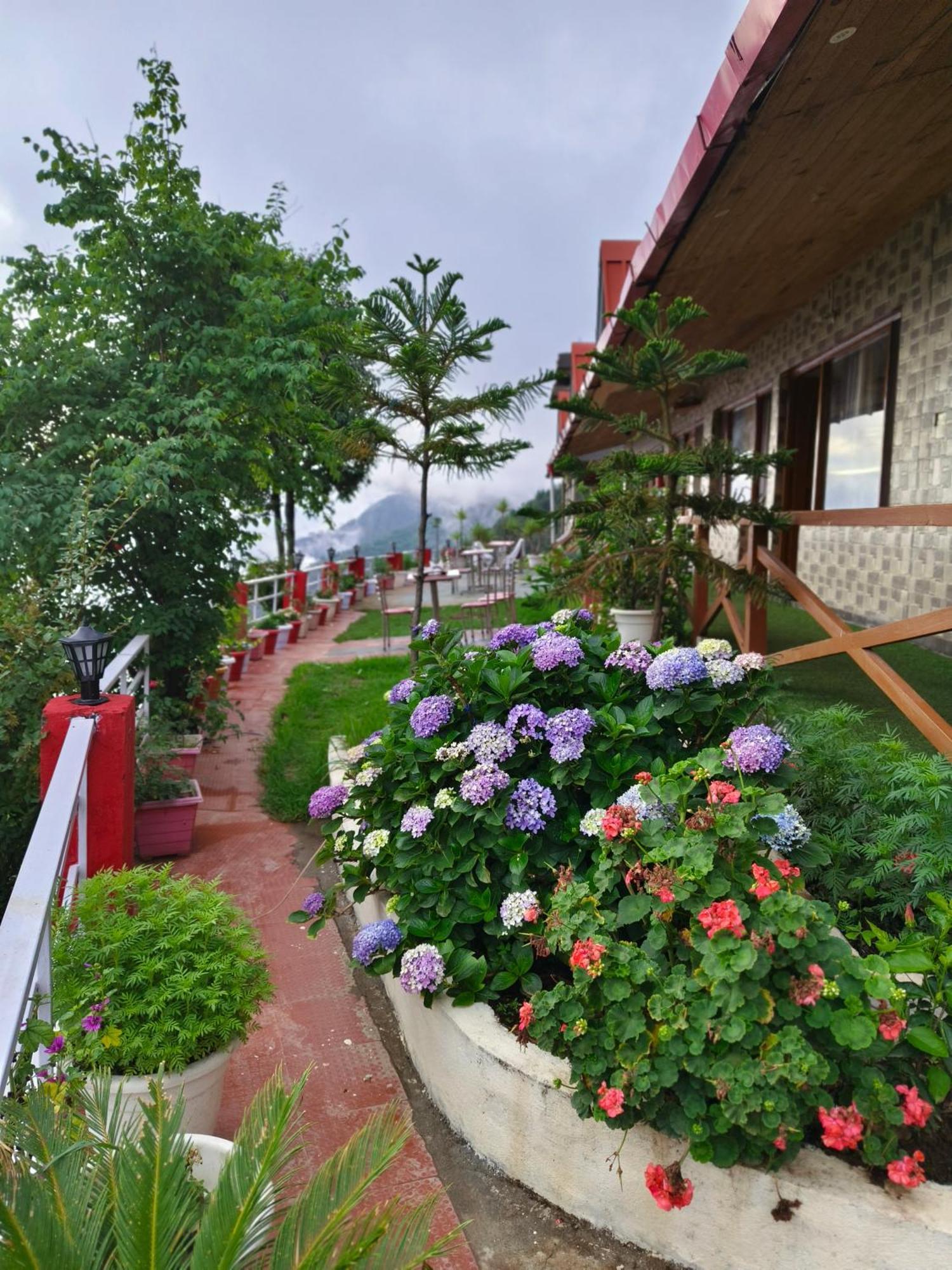 Naina Bird Cottage Nainital Dış mekan fotoğraf