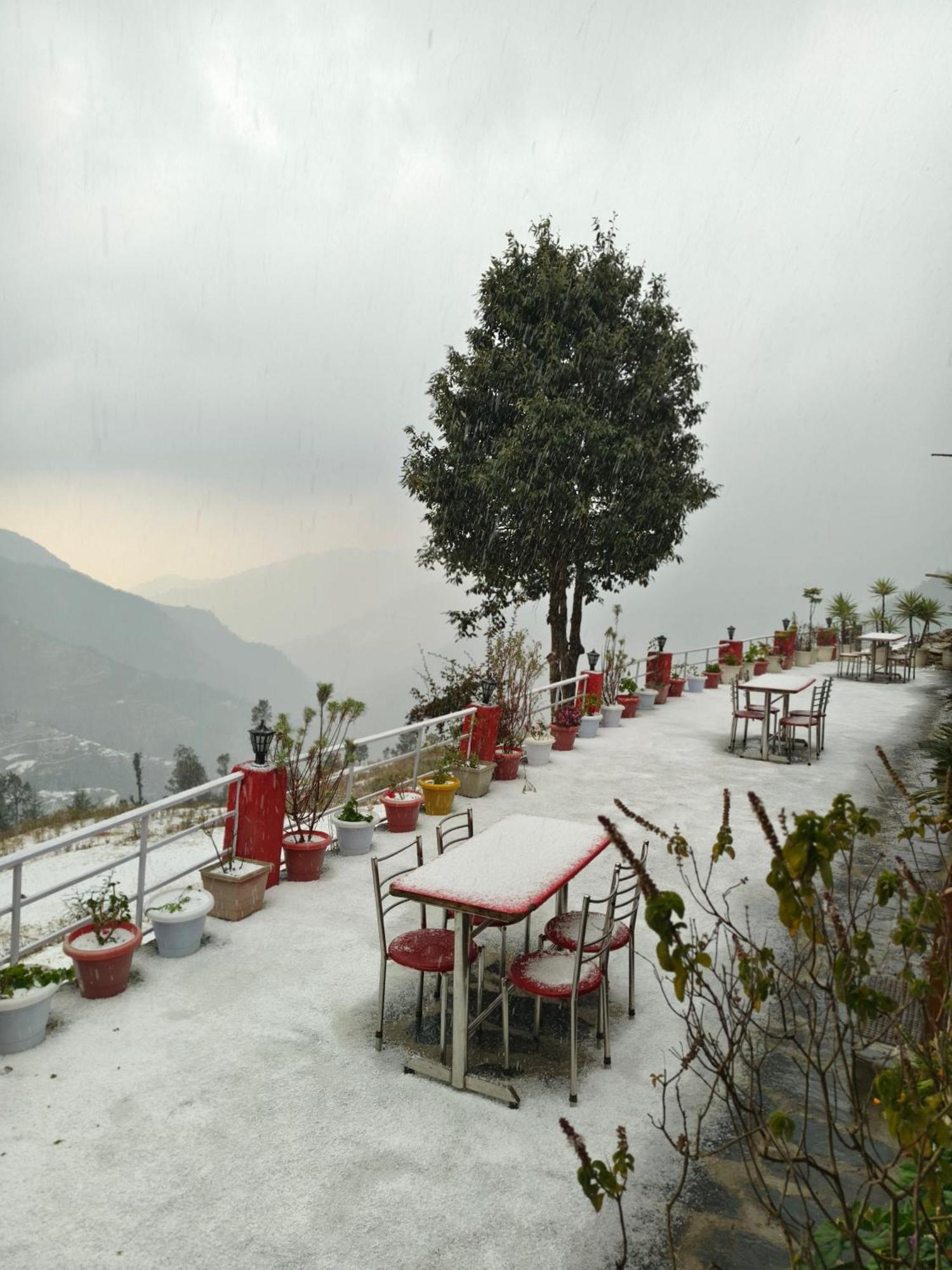 Naina Bird Cottage Nainital Dış mekan fotoğraf