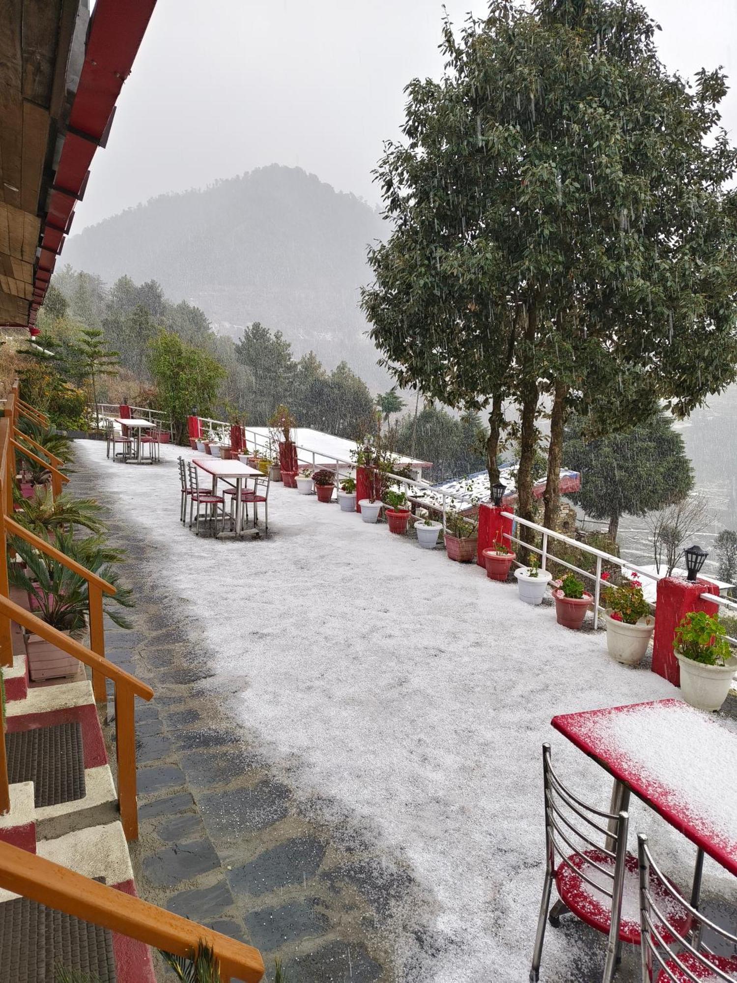 Naina Bird Cottage Nainital Dış mekan fotoğraf